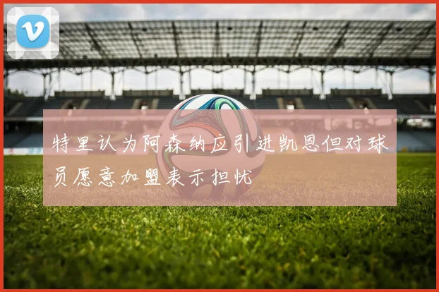 特里认为阿森纳应引进凯恩但对球员愿意加盟表示担忧
